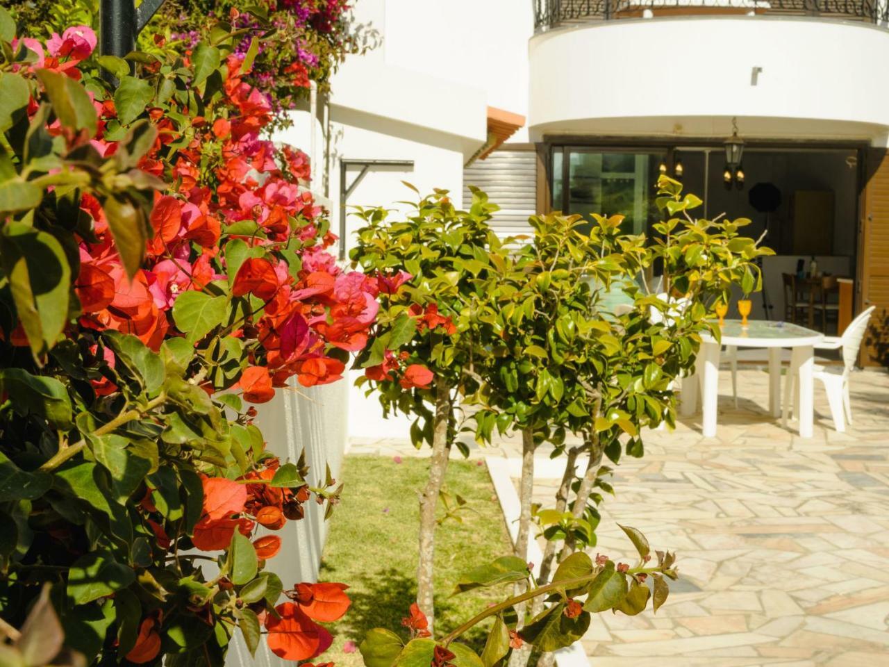 אריסרייה Studio Studio Loureiro By Interhome מראה חיצוני תמונה